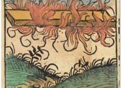 1493.La prima immagine a stampa di un UFO