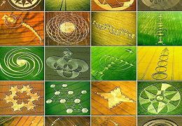 Crop Circles: la storia smentisce il C.I.C.A.P.